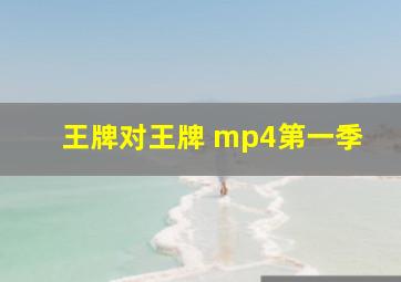 王牌对王牌 mp4第一季